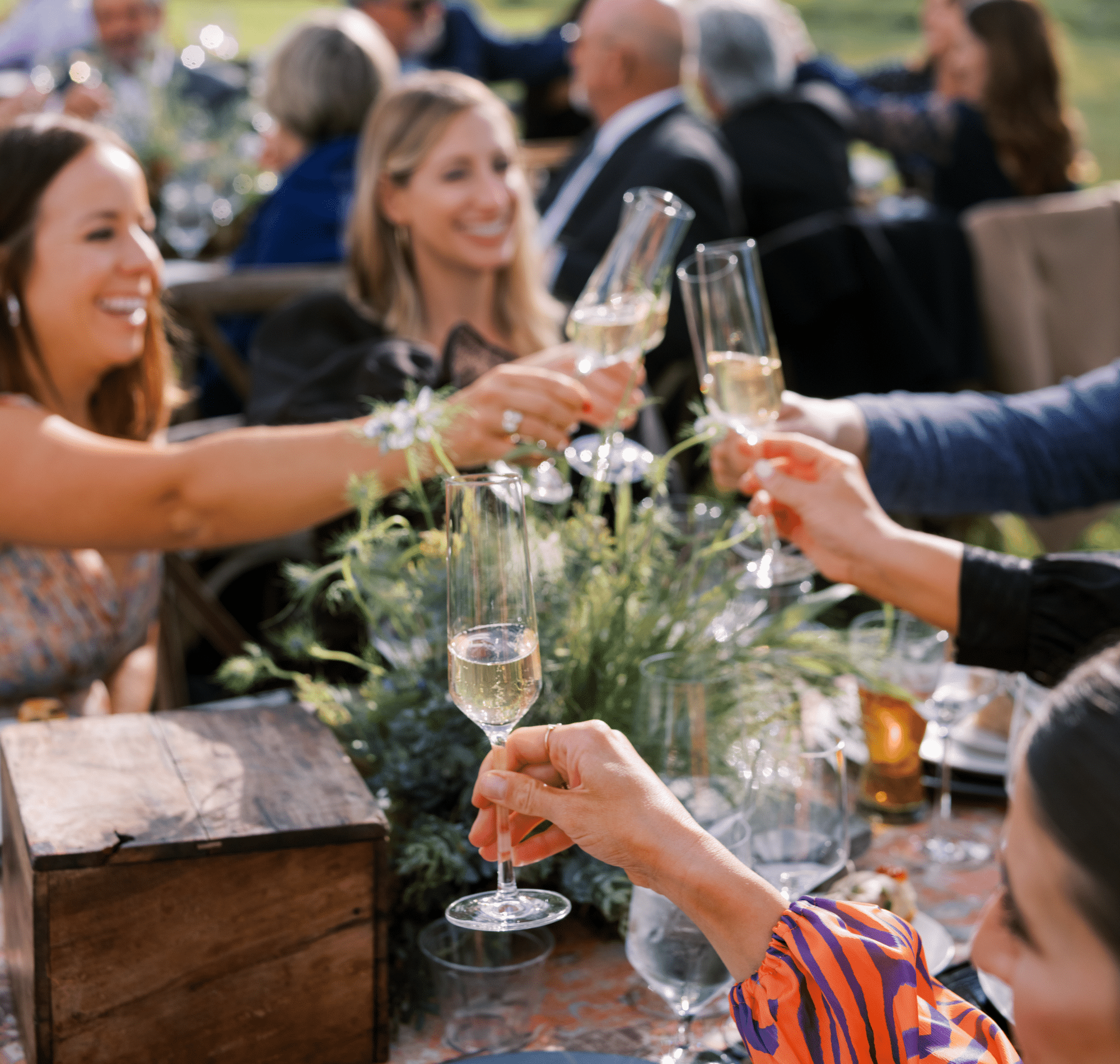 Italian American wedding, toast, champagne toast