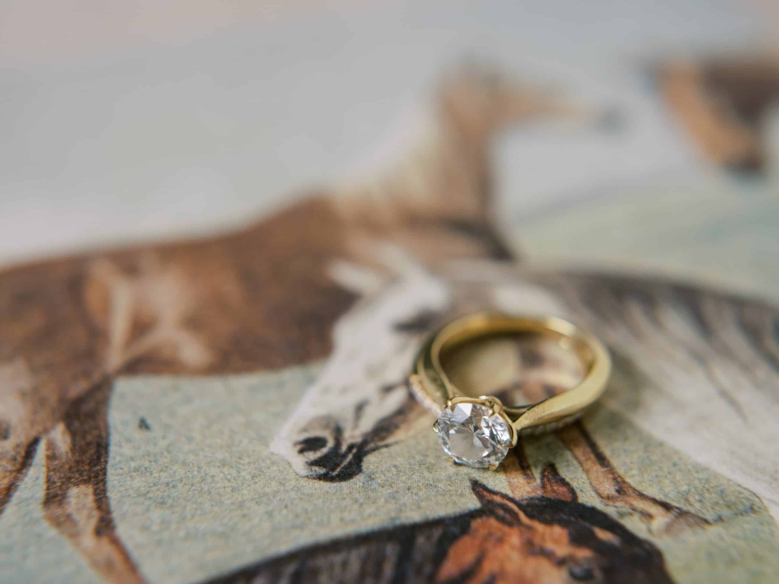 western wedding, horses, rings