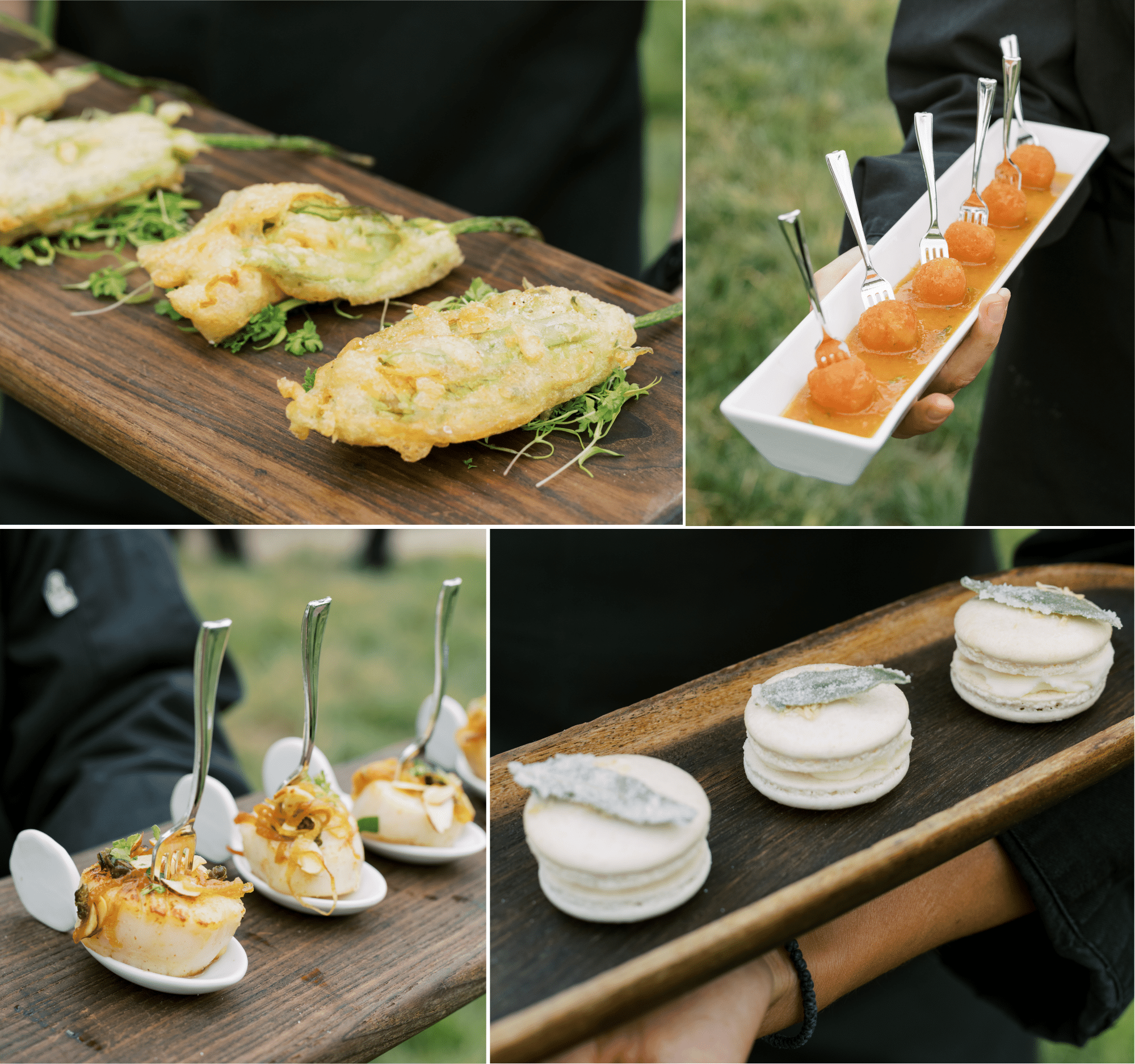 hors d'oeuvres, HDs, arancini, fried squash blossoms, seared scallops, savory macrons
